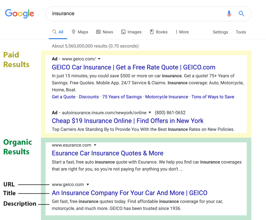 SEO Basics SERP